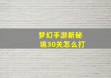 梦幻手游新秘境30关怎么打