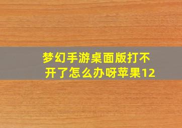 梦幻手游桌面版打不开了怎么办呀苹果12