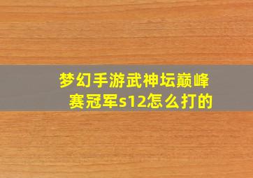 梦幻手游武神坛巅峰赛冠军s12怎么打的