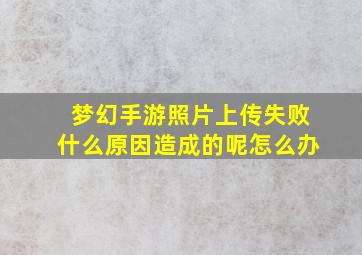 梦幻手游照片上传失败什么原因造成的呢怎么办