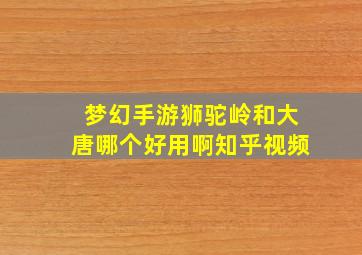 梦幻手游狮驼岭和大唐哪个好用啊知乎视频