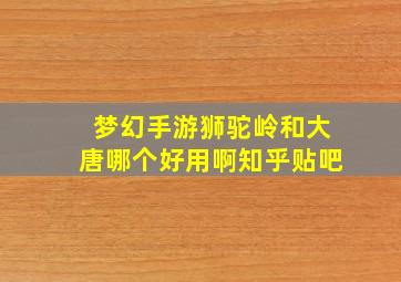 梦幻手游狮驼岭和大唐哪个好用啊知乎贴吧