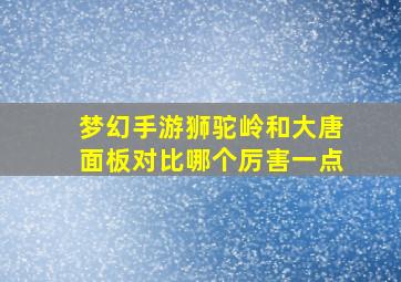 梦幻手游狮驼岭和大唐面板对比哪个厉害一点