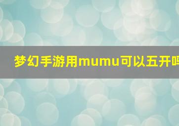 梦幻手游用mumu可以五开吗