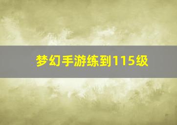 梦幻手游练到115级