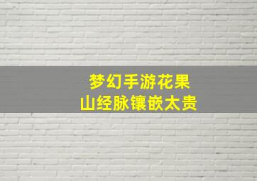 梦幻手游花果山经脉镶嵌太贵