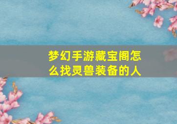 梦幻手游藏宝阁怎么找灵兽装备的人