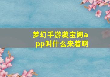 梦幻手游藏宝阁app叫什么来着啊