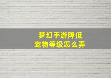 梦幻手游降低宠物等级怎么弄