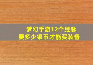 梦幻手游12个经脉要多少银币才能买装备