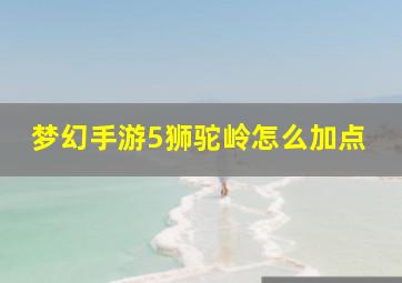 梦幻手游5狮驼岭怎么加点