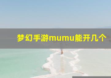 梦幻手游mumu能开几个