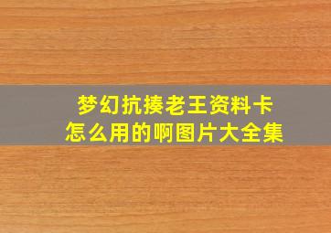 梦幻抗揍老王资料卡怎么用的啊图片大全集