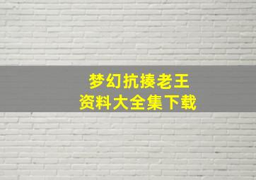 梦幻抗揍老王资料大全集下载