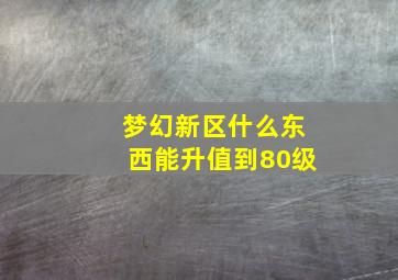 梦幻新区什么东西能升值到80级