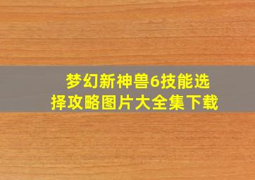 梦幻新神兽6技能选择攻略图片大全集下载