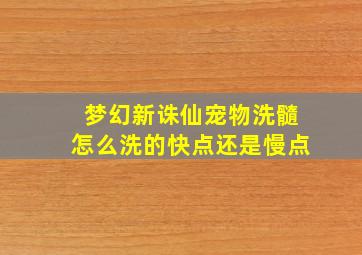 梦幻新诛仙宠物洗髓怎么洗的快点还是慢点