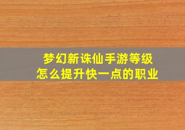 梦幻新诛仙手游等级怎么提升快一点的职业