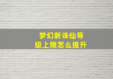 梦幻新诛仙等级上限怎么提升