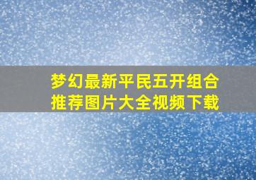 梦幻最新平民五开组合推荐图片大全视频下载