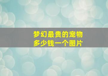 梦幻最贵的宠物多少钱一个图片