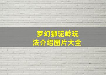 梦幻狮驼岭玩法介绍图片大全