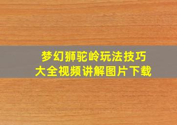 梦幻狮驼岭玩法技巧大全视频讲解图片下载