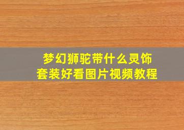 梦幻狮驼带什么灵饰套装好看图片视频教程