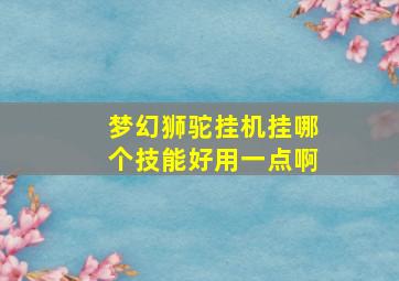 梦幻狮驼挂机挂哪个技能好用一点啊