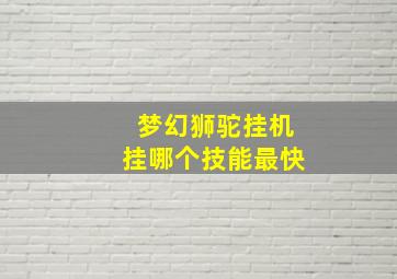 梦幻狮驼挂机挂哪个技能最快