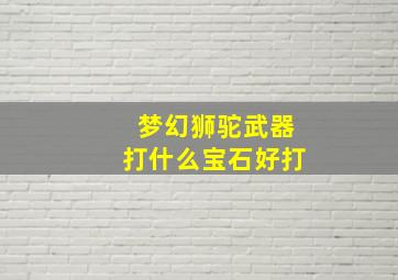 梦幻狮驼武器打什么宝石好打