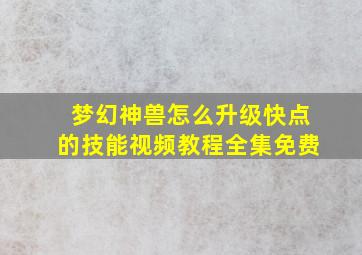 梦幻神兽怎么升级快点的技能视频教程全集免费