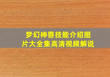 梦幻神兽技能介绍图片大全集高清视频解说