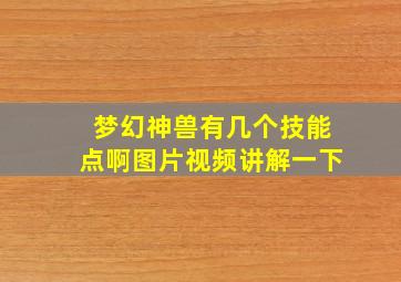 梦幻神兽有几个技能点啊图片视频讲解一下