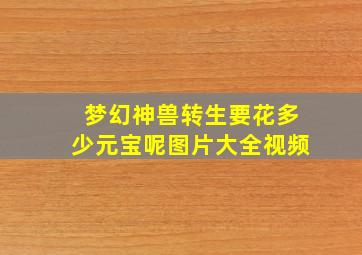 梦幻神兽转生要花多少元宝呢图片大全视频