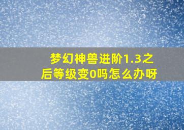 梦幻神兽进阶1.3之后等级变0吗怎么办呀