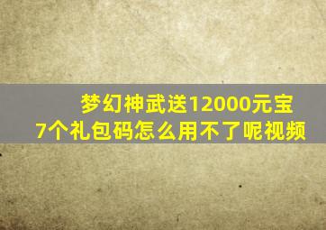 梦幻神武送12000元宝7个礼包码怎么用不了呢视频