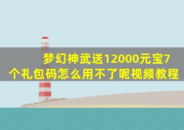 梦幻神武送12000元宝7个礼包码怎么用不了呢视频教程