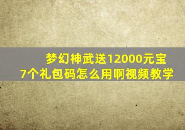 梦幻神武送12000元宝7个礼包码怎么用啊视频教学