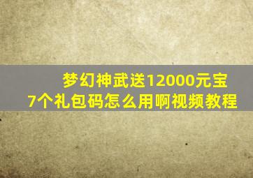 梦幻神武送12000元宝7个礼包码怎么用啊视频教程