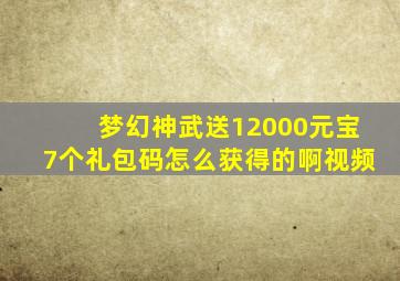 梦幻神武送12000元宝7个礼包码怎么获得的啊视频