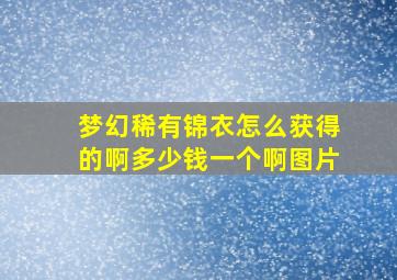 梦幻稀有锦衣怎么获得的啊多少钱一个啊图片