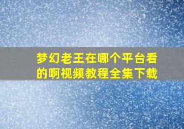 梦幻老王在哪个平台看的啊视频教程全集下载