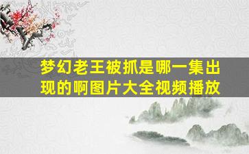 梦幻老王被抓是哪一集出现的啊图片大全视频播放