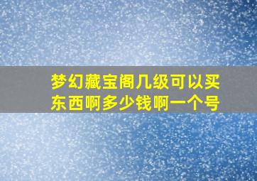 梦幻藏宝阁几级可以买东西啊多少钱啊一个号