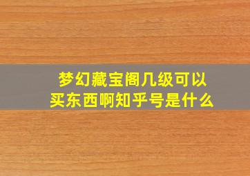 梦幻藏宝阁几级可以买东西啊知乎号是什么