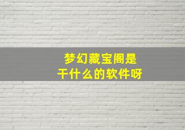 梦幻藏宝阁是干什么的软件呀