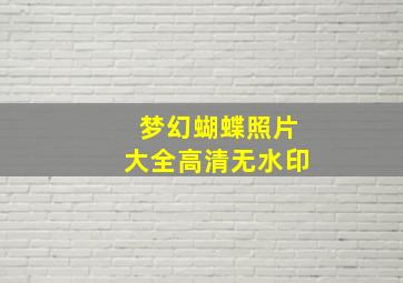 梦幻蝴蝶照片大全高清无水印