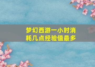 梦幻西游一小时消耗几点经验值最多