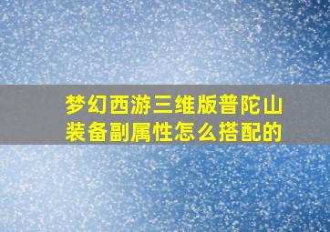 梦幻西游三维版普陀山装备副属性怎么搭配的